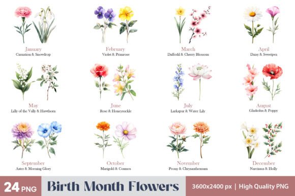 Birth Month Flowers PNG Clipart Guide