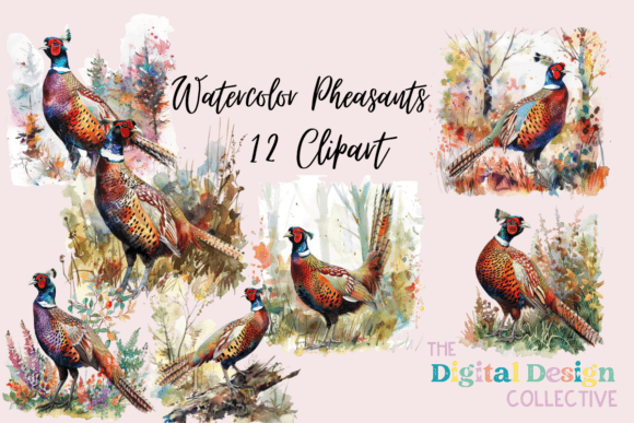Pheasant Bird Illustration Watercolor: Elevating Creative Projects with Digital Art