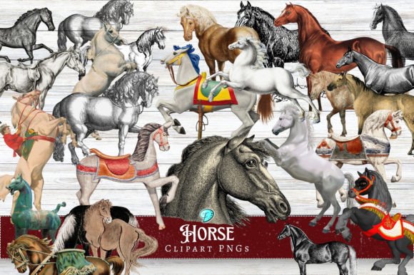 Revitalizing Crafts with High-Resolution Horse Clipart Transparent PNGs